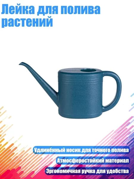 Лейка 1 шт