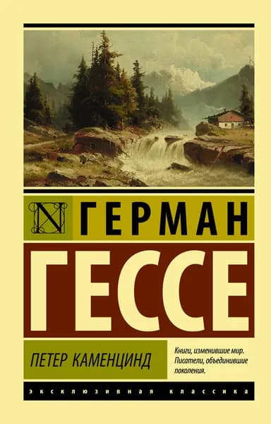 Книга Петер Каменцинд
