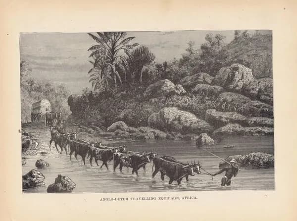 Африка. Англо-голландский экипаж. Антикварная гравюра (ксилография). США, 1892 г.