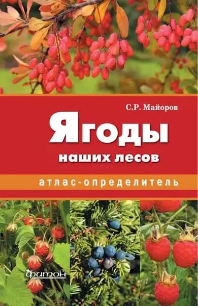 Ягоды наших лесов | Майоров Сергей Робертович | Электронная книга