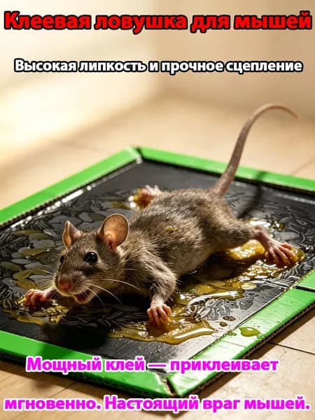 Волшебная клеевая ловушка для мышей