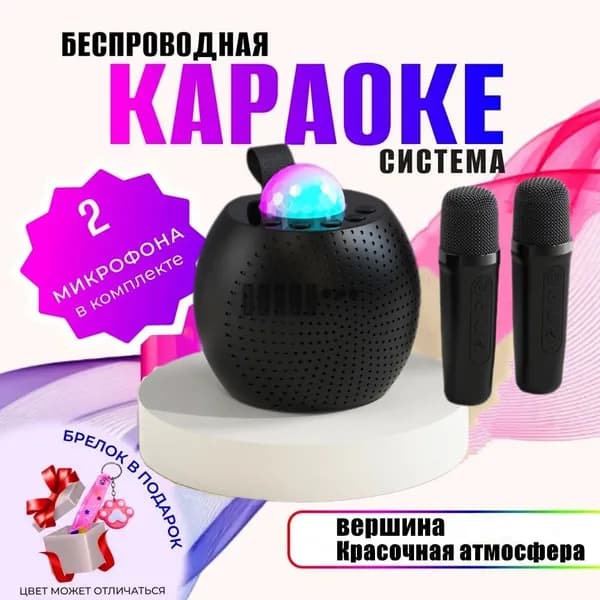 Детская караоке система беспроводная с двумя микрофонами портативная колонка с поддержкой Bluetooth CY-10117B