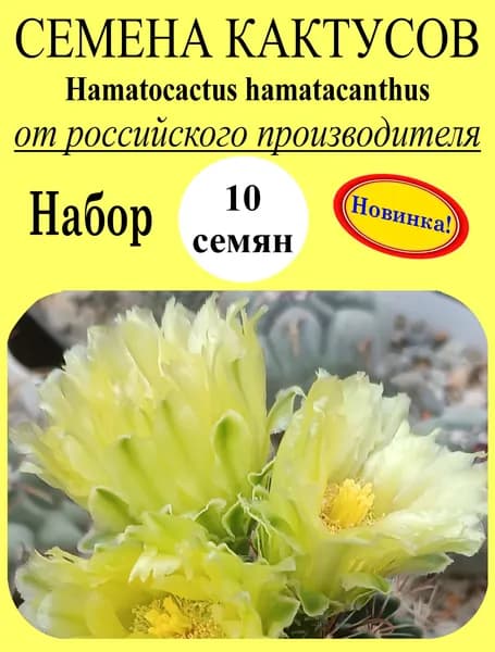 Семена