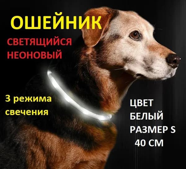 Светящийся ошейник для собак и кошек, белый. Размер S 40 см