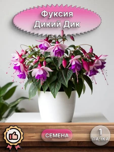 Фуксия Дикий Дик (семена)