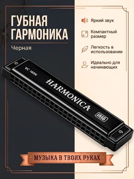 Губная гармошка черная