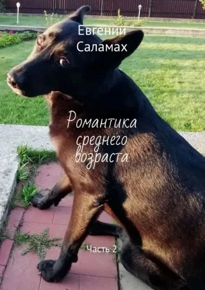 Романтика среднего возраста. Часть 2 | Саламах Евгений | Электронная книга