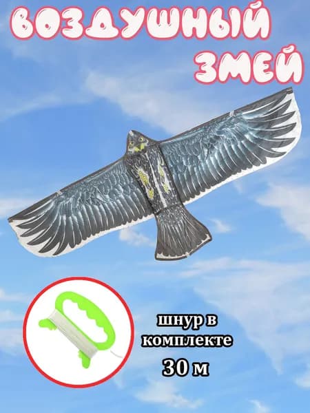 Воздушный змей Ястреб 110*48