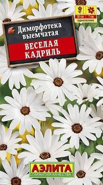 Семена Диморфотека Веселая Кадриль (0,2г) - Аэлита