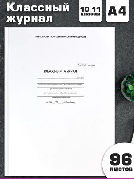Классный журнал 10-11 класс А4 твердый переплет