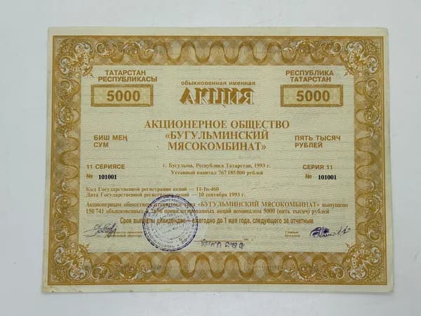 Ценная бумага 5000 рублей АО Бугульминский мясокомбинат. Татарстан, г.Бугульма. 1993 год