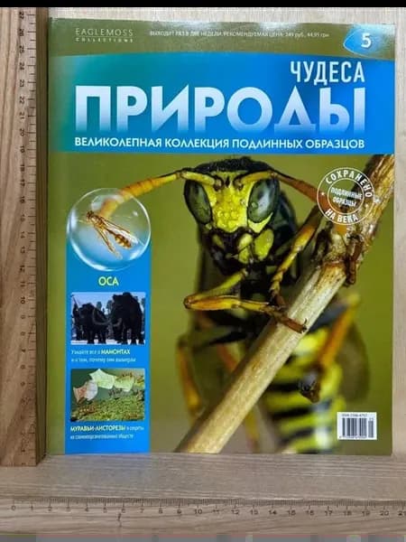 Журнал Чудеса природы. Великолепная коллекция подлинных обра