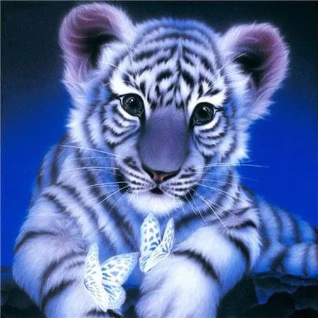 Алмазная мозаика картина стразами Тигрёнок/Размер холста 30х30 см/Размер картинки 25х25 см