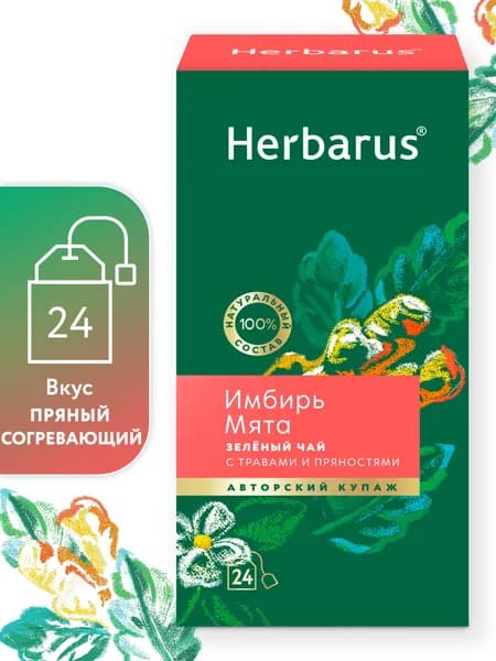 Чай зеленый с добавками в пакетиках Herbarus "Имбирь Мята", 24 шт.
