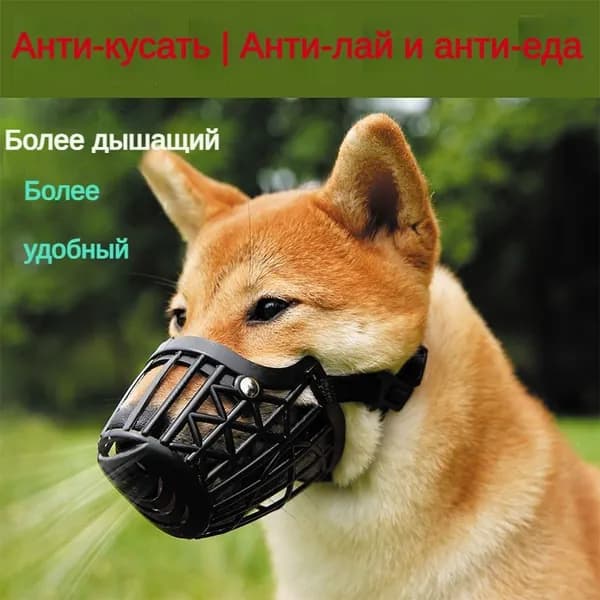 Намордник
