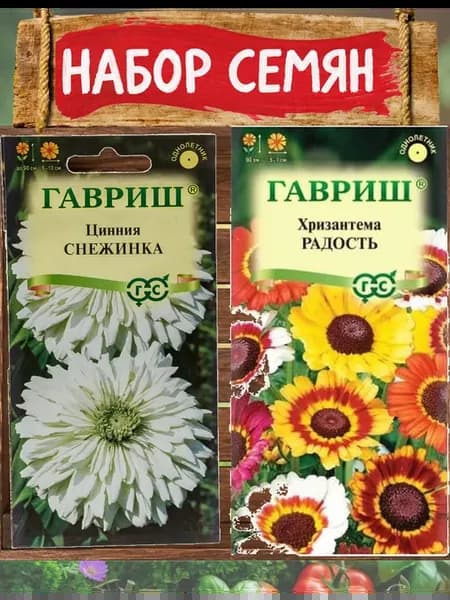 Цинния Снежинка и хризантема Радость