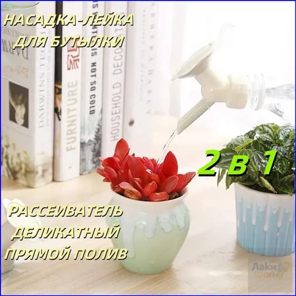 Home and Bear Лейка 1 шт