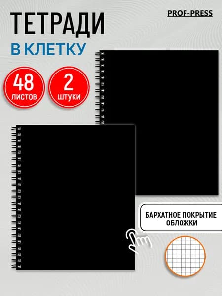 Тетрадь 48 листов в клетку Prof-Press, набор 2 штуки