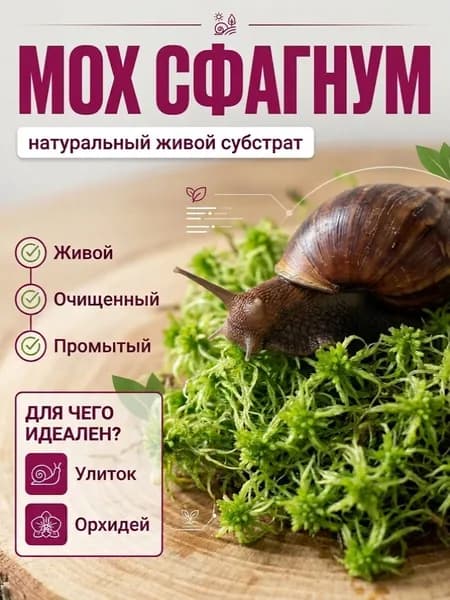 Мох сфагнум живой очищенный и промытый 4 л