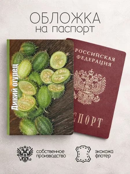 Обложка на паспорт самые популярные мемы2025 дикикй огурец