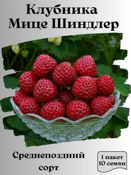 Клубника Мице Шиндлер, семена, 10 шт., 15 гр.