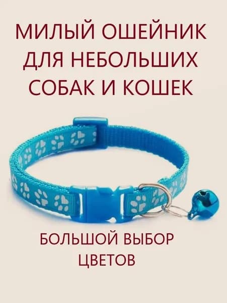 Ошейники для кошек и собак мелких пород, нейлон, оранжевый и зеленый, 2 шт, обхват шеи 19-31 см - 1шт Голубой