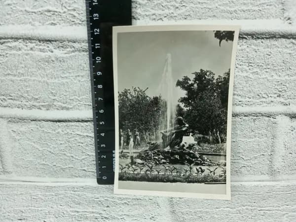 Канцелярия антикварная винтажная Открытка Фонтан Оранжерейный в Петродворце