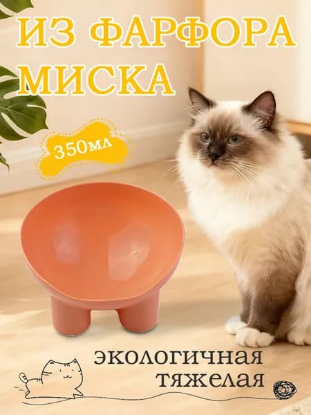 Пластиковая миска для домашних животных с защитой от опрокидывания, миска для кошек на высоких ножках