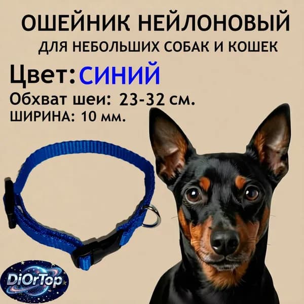 Ошейник для кошек и собак, цвет синий, ширина 10мм., обхват шеи 25 - 32 см.