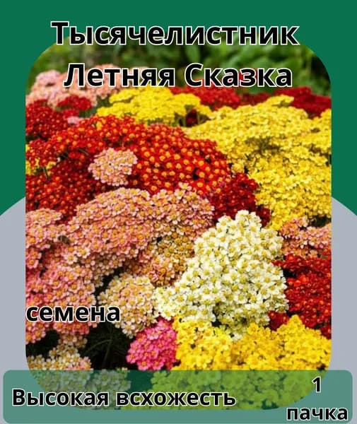 Тысячелистник Летняя Сказка смесь, семена 10шт