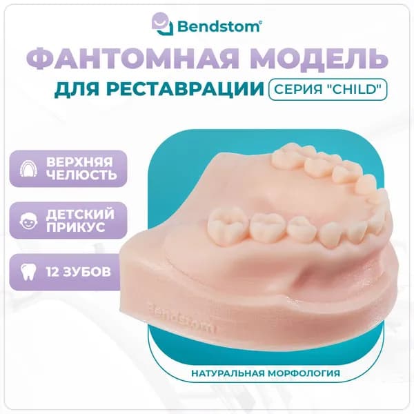 Верхняя детская фантомная челюсть в анатомию (12 зубов) "Child" / для отработки мануальных навыков / стоматологические модели