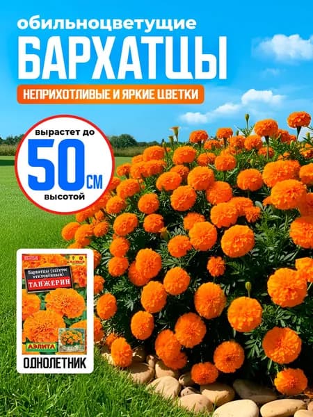 Бархатцы семена Танжерин обильноцветущие 0,3г