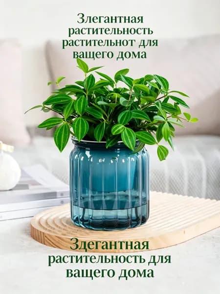 Кашпо с автополивом, цвет синий