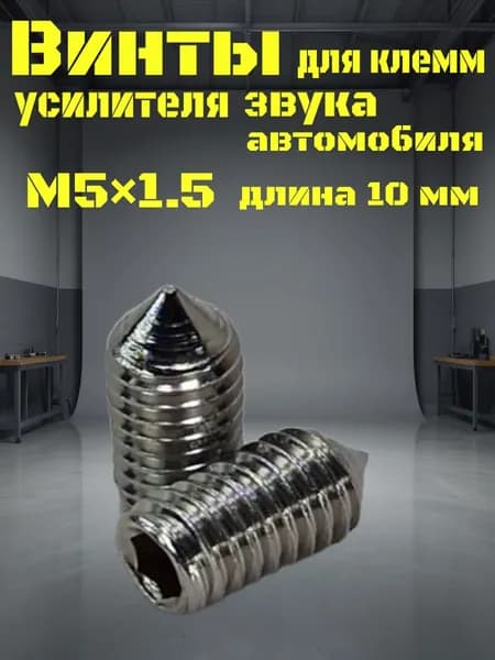 Винты 2шт для клеммы усилителя звука автомобиля, M5х0,8, длина 10 мм