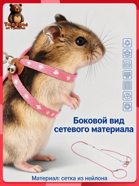 Упряжь для хомяка с поводком, прогулочная шлейка для грызунов, регулируемая экипировка для карликовых хомяков и джунгариков, безопасный аксессуар для выгула
