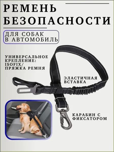 Ремень безопасности для собак