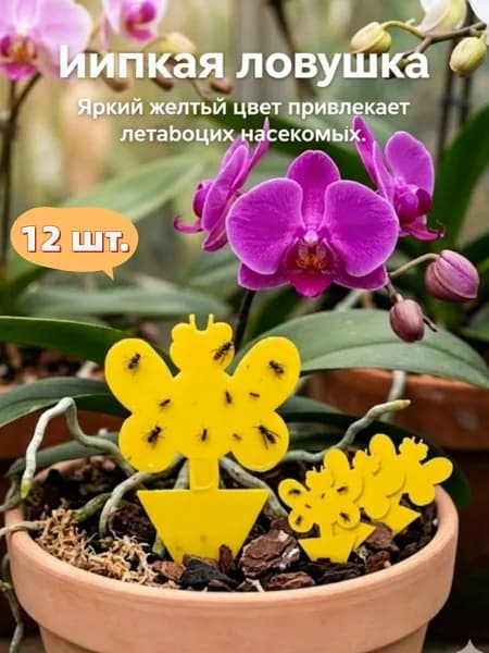 Инструмент для дезинсекции 12 шт.