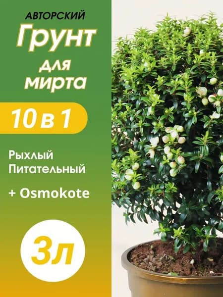 Грунт для Мирта 3л готовый