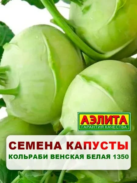 Семена капуста кольраби "Венская белая 1350", 0,5 г, однолетние цветы, для дачи, сада и огорода, клумбы, в открытый грунт