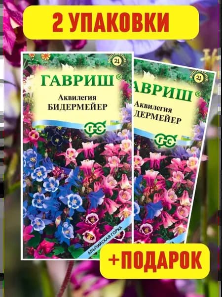 Аквилегия семена цветов многолетников Бидермейер 2 шт