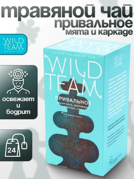Чай Мята Шиповник Гибискус "Привальное" 24 пак WILD TEAM дикий травяной