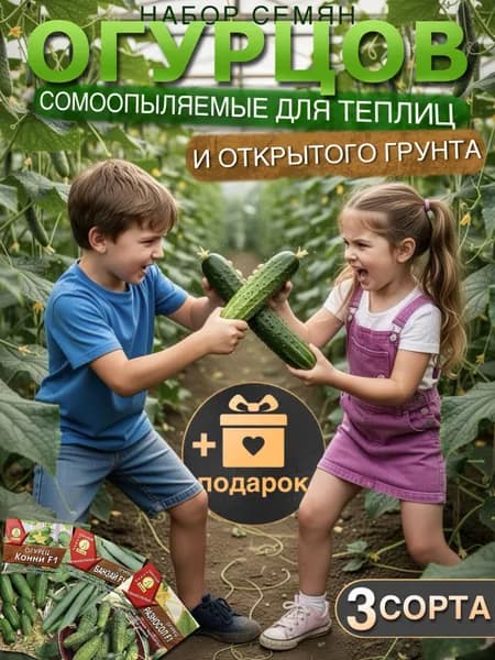 Аэлита Семена ,3шт