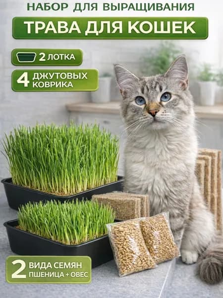 Трава для кошек. Набор для выращивания. Лакомство для домашних животных