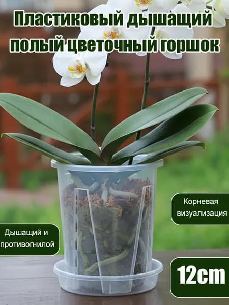 Вазон
