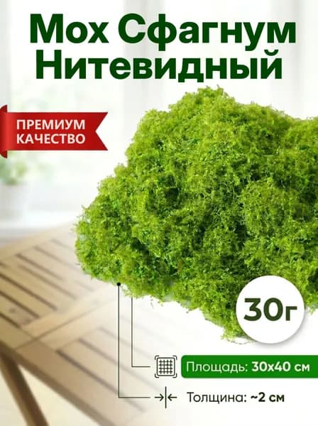 Стабилизированный мох 30 г 1 шт оливковый