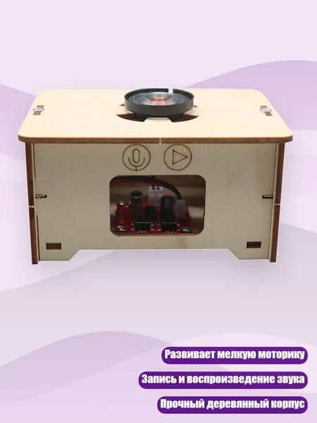 Детский деревянный рекордер-игрушка