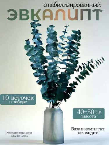 Сухоцветы Эвкалипт, 50 см, 10 шт
