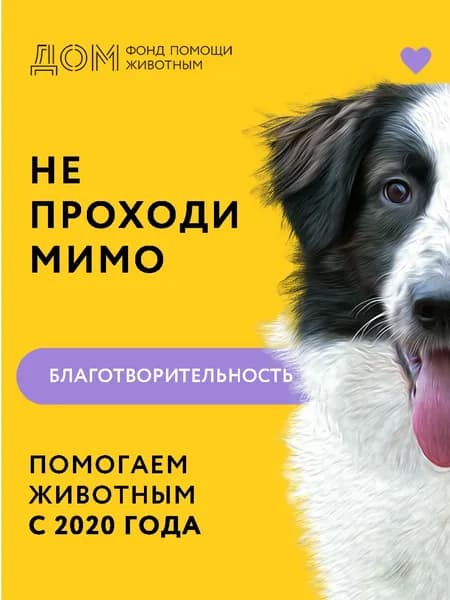 Благотворительный сертификат фонда "дом"