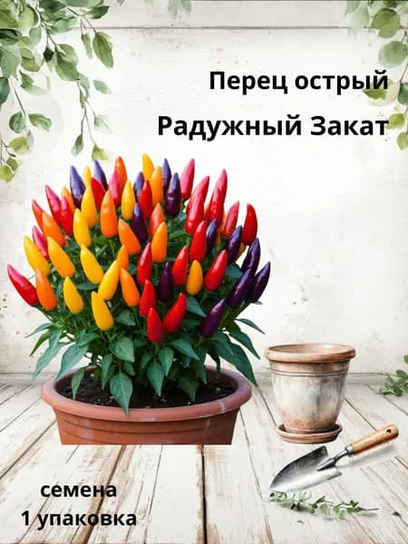 Перец острый Радужный Закат, семена, 10 шт
