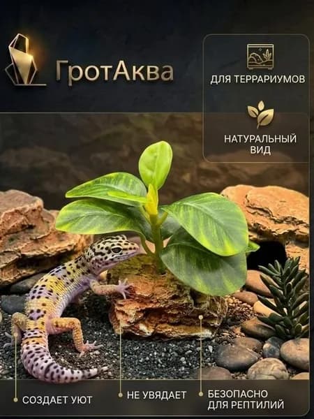 Растение для террариума, аквариума на подставке